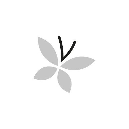 LEGGERO